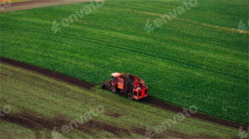 Preview: Work in progress. Aerial view of beet harvester on the green agricultural field