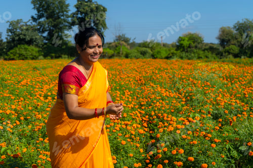 Preview: Indian woman collect marigold flower in beautiful garden.