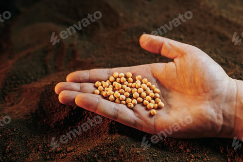 Preview: This photo captures the essence of farming and cultivation,