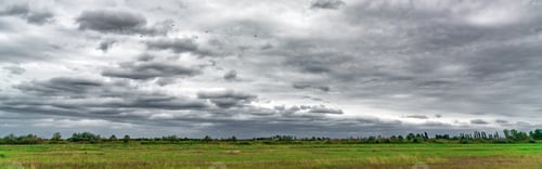 Preview: Panoramic view to green field with thunder clouds