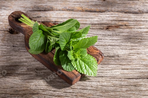 Preview: Purple sage plant on the table