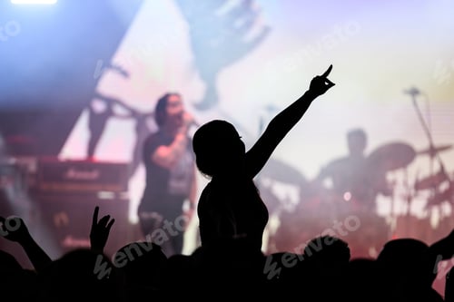 Preview: Cheering crowd silhouetted against bright stage lights