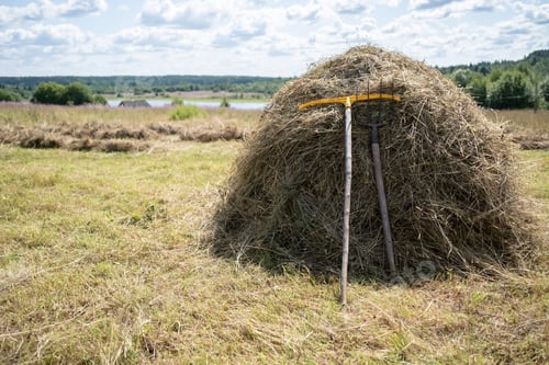 Preview: Stack of hay with forks and rake, against of rural landscape, on a summer sunny day.
