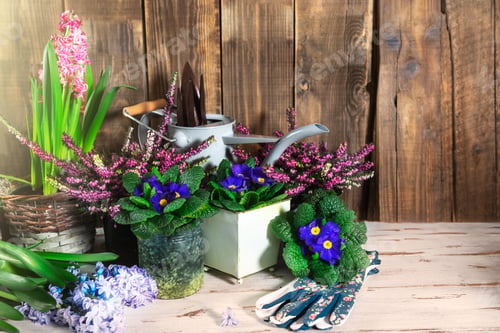 Preview: Gardening tools and flowers in the pots