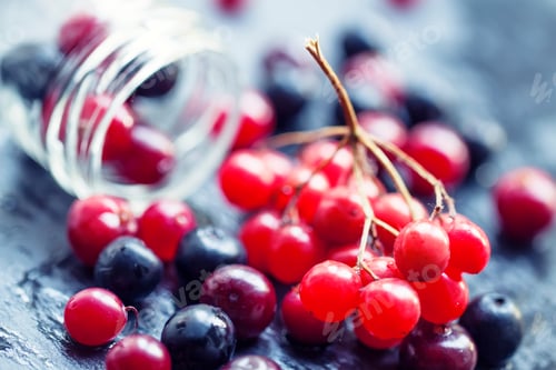 Preview: Cranberry, mountain ash, viburnum, chokeberry in a glass jar
