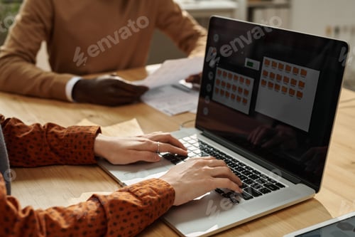 Preview: Businesswoman working on laptop at meeting