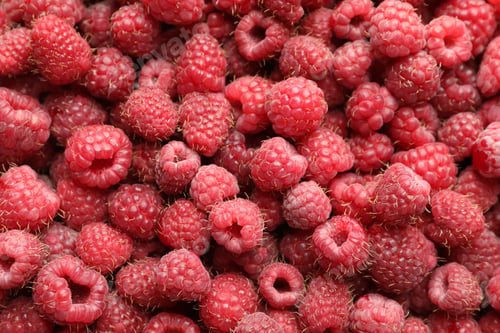 Preview: Many fresh ripe raspberries as background, top view