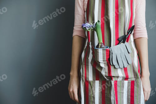 Preview: woman stands with hyacinth plant and small shovel