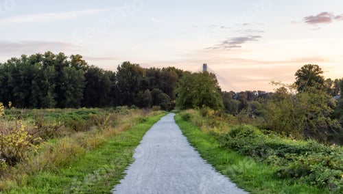 Preview: Trail in a city park. Colorful Summer Sunset