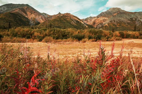 Preview: Mountains on Alaska