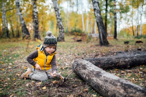 Preview: A boy in a bright yellow vest plays with sticks in the park in autumn.