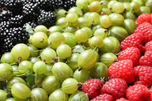 Preview: Raspberries, blackberries and gooseberries as background