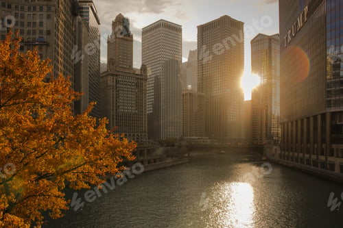 Preview: Fall in Chicago