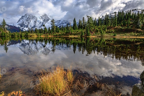 Preview: Mount Shuksan reflecting on lake with trees in the North Cascades National Park, Washington, USA