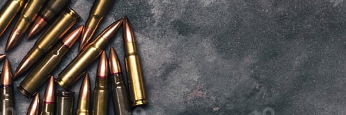 Preview: Bullets on gray background banner