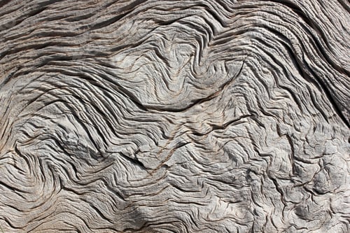 Preview: Tree