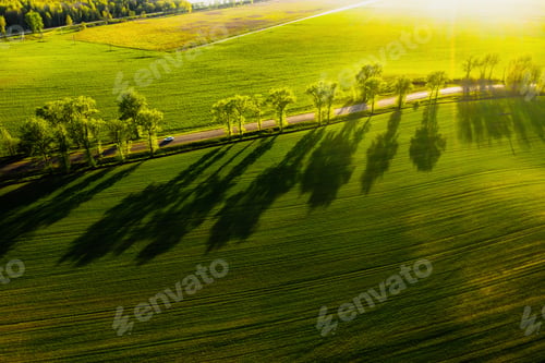Preview: A bird's-eye view of a green field and a road in Europe.Nature Of Belarus.Own green field at