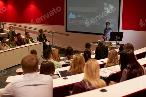 Preview: Young adult students at a university lecture, back view