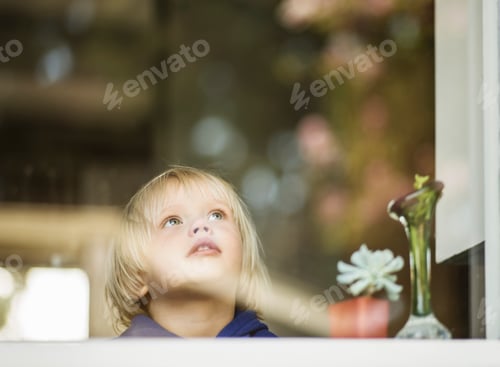 Preview: Young boy at house window gazing upward