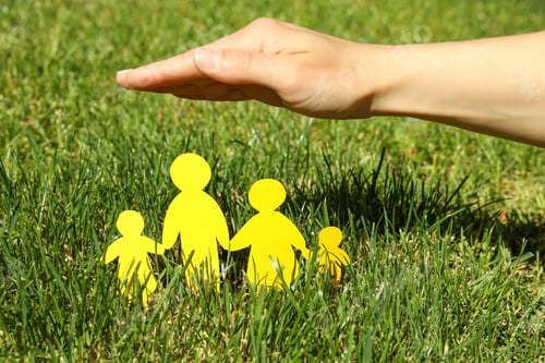 Preview: Concept of family, protection of family, family rights, family health