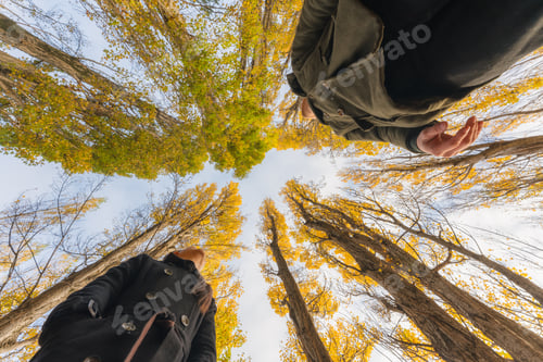 Preview: Lover asian couple enjoying in yellow leaves pine tree on autumn forest