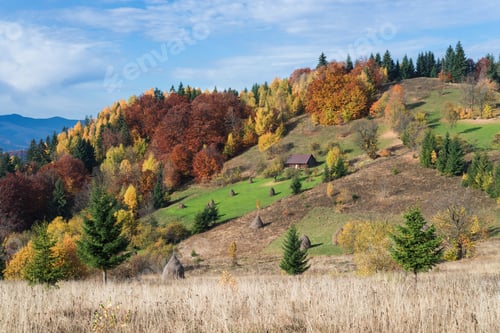 Preview: Autumn Hillside with Yellowing Trees in a Mountain Village