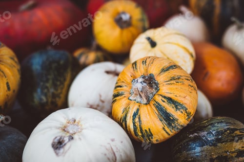 Preview: Pumpkin farm market. Decorative pumpkins lying on hay.