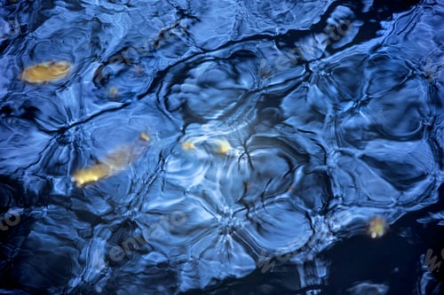 Preview: Ripples blue water with dry leaf in swimming pool