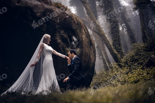 Preview: Lovely couple of newlyweds - bride and groom at beautiful mystery forest with amazing autumn fog.