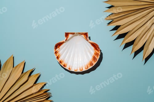 Preview: Scallop seashell on blue background with dry palm leaves
