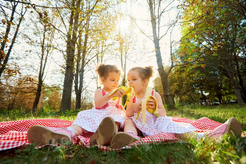 Preview: Little girls twin sisters sitting on a picnic in the woods in the evening rays