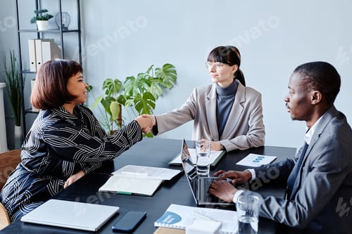 Preview: Business People Greeting in Meeting