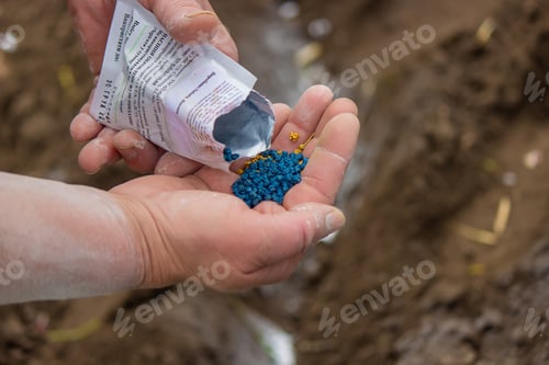 Preview: Young peasant woman planting seeds of carrots, radishes and beets in a warm black earth.