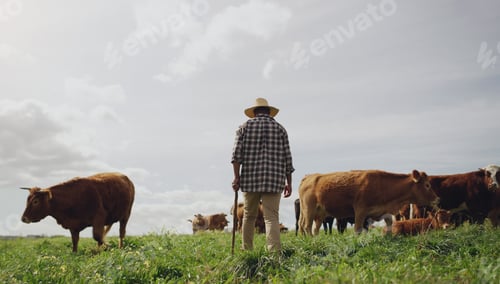 Visualização: To understand the animal, live with it