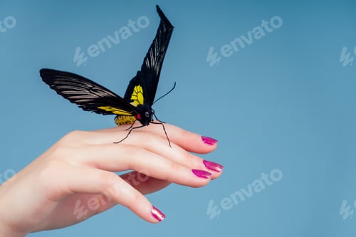 Preview: beautiful nude woman on blue background.girl and a beautiful butterfly
