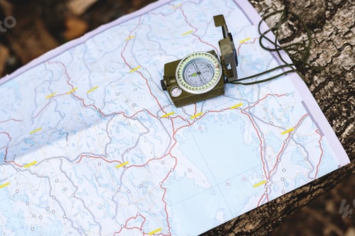Preview: Map and compass on tree trunk
