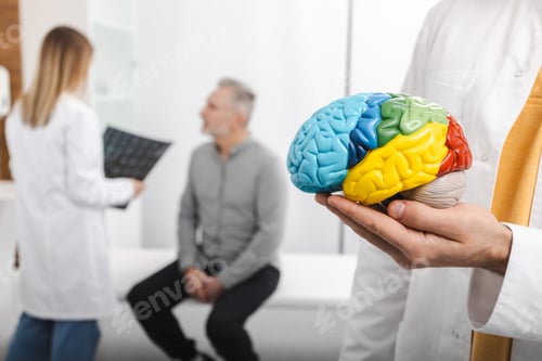 Preview: Anatomical model of human brain on doctor hands over background neurologist analyzing results of