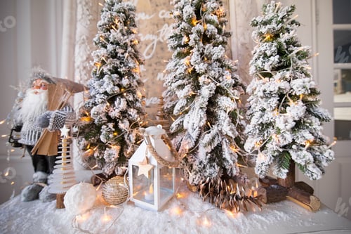 Preview: New Year and Christmas decoration. Beautiful Christmas trees.