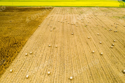 Preview: Ffield with hay sheaves from above, aerial view of Poland
