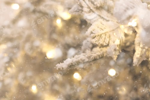 Preview: Christmas background with Snow-covered Christmas tree branches and blurred lights on back.