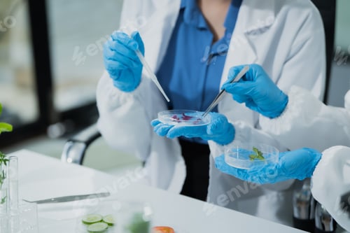 Preview: Two female scientists conduct plant experiments in a state-of-the-art laboratory, examining fresh