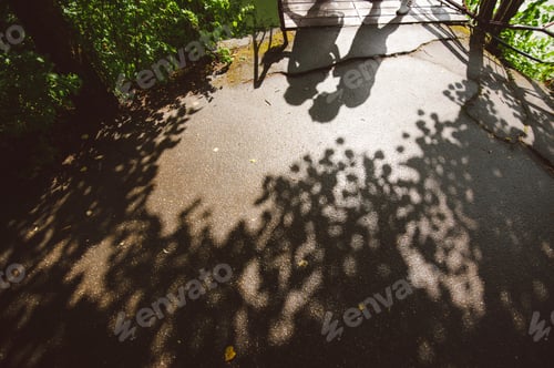 Preview: shadows lovers