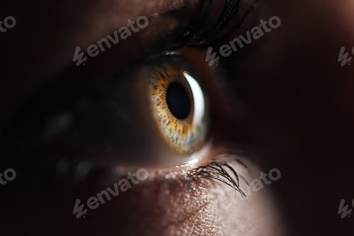 Preview: close up view of human eye with eyelashes and eyebrow looking away in dark