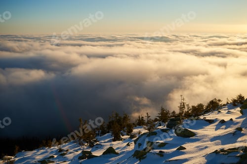 Preview: Snow-covered mountain slope at dawn, with scattered rocks and small trees