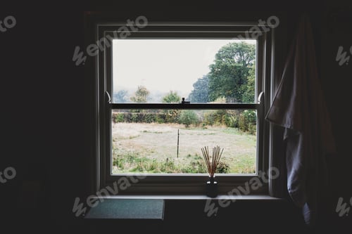 Preview: View of garden and trees through sash window.