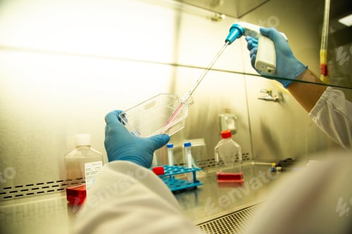 Preview: Closeup of hands in blue protective gloves holding a tube for testing in a lab