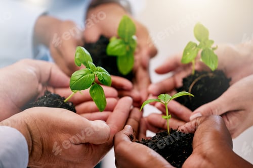 Preview: Green economy, sustainability plants hands and global growth of teamwork with hope, help and trust