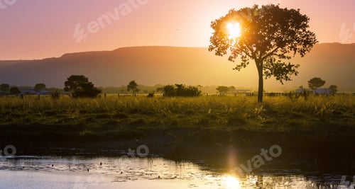 Preview: Rural landscapes in Brazil
