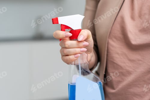 Preview: sprayer in hand isolated on white background