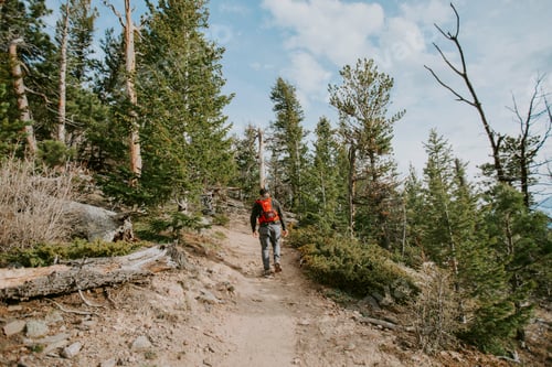 Preview: A man hiking in Estes Park Colorado wearing a red backpack